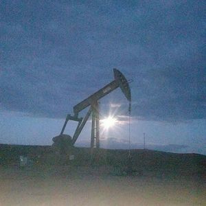 Meet your Posher, Ben